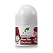Produktbild DR ORGANIC Rose Otto Deodorant, 0.078 kg