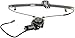 Dorman 748-512 Rear Driver Side Power Window Regulator and Motor Assembly for Select Honda Models