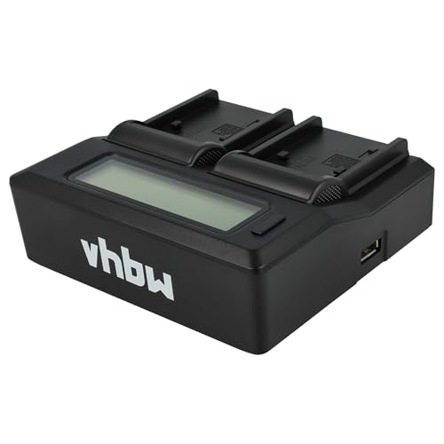 Chargeur double compatible Sony HDR-CX210E caméscope écran LED - 3