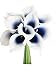 Sweet Home Deco Latex Real Touch 15" Artificial Calla Lily 10 Stems Flower Bouquet for Home/Wedding (Navy Blue Picasso)