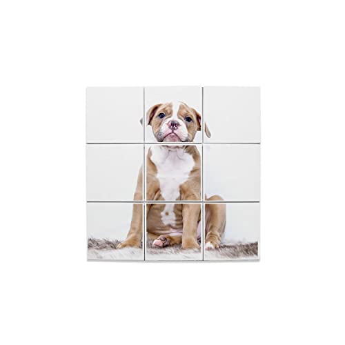 Carreaux Céramique Chiot Bulldog Bébé Chien Mignon Décoration Murale Intérieure