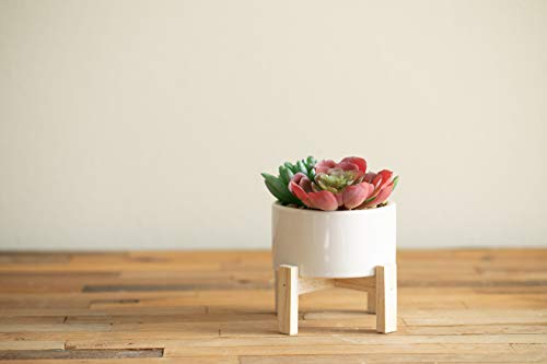 Flora Bunda Mid Century Artificial Plant Artificial Succulent Garden Mix in 4" Ceramic Pot W/Stand Mid Century Planter,White - Thumbnail 2