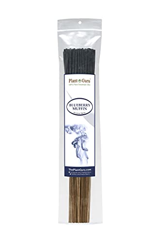 Bakery Incense Sticks Variety Set 500 Pack Sampler 11" Sticks - 5 Bundles Of 100 Sticks Per Bundle. Birthday Cake, Blueberry Muffin, Chocolate Cake, Gingerbread Cookie And Sugared Snickerdoodle. #TOP2