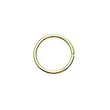Gekko Body Jewellery