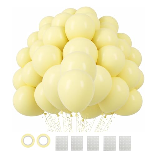 o[ 110 pXeCG[D   a p[eB[  Xܑ j Cxg NX}X 10C` (25.4cm) LilyZheng
