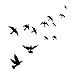 PIVBY Window Alert Bird Stickers - Protection Against Bird collisions, Black (Pack of 12 Decals)