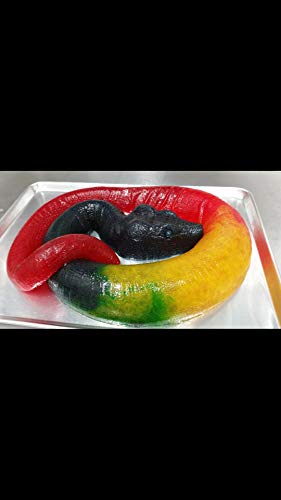 The Gummy Bear Guy (Tm) | World's Biggest Gummy (Tm) | Party Python #TOP11