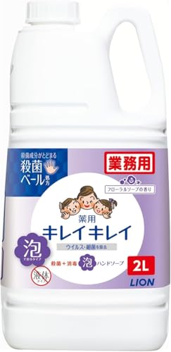 yƖp eʁzL CL C p Anh\[v 2bg (x 1)