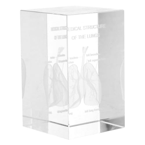 Modèle poumon humain 3D en cristal presse-papier gravé de 8cm pour bureau
