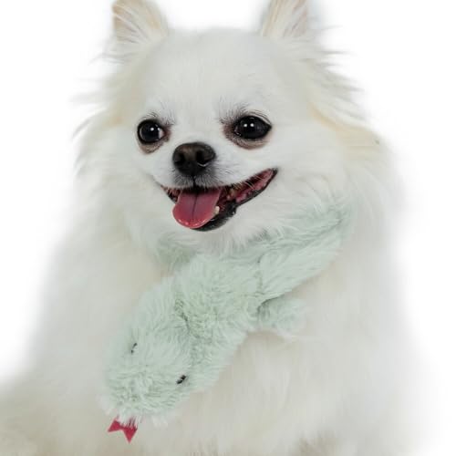 ybgp_CX   H x ւ }t[ O[ irr`rlEcrEclj y ybgp_CXcX72XܓWJ2025/10/1_z ߗޏ K