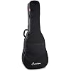 OVATION Deep Bowl/Mid-Depth Guitar Case + 12 Strings