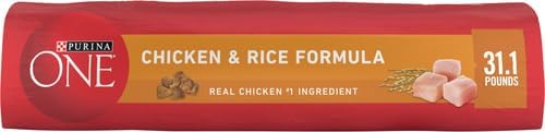 Purina ONE Chicken and Rice Formula Dry Dog Food - 31.1 lb. Bag — view 3