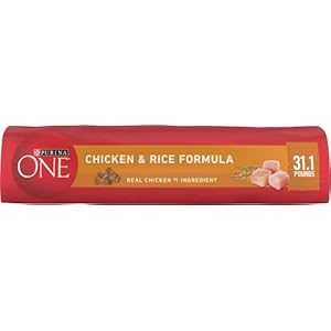 Purina ONE Chicken and Rice Formula Dry Dog Food - 31.1 lb. Bag Purina ONE Chicken and Rice Formula Dry Dog Food 311 lb Bag