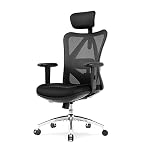 Ergonomic Office Chairs