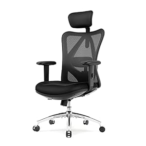 SIHOO M18 Ergonomic Office Chair for Big and Tall People Adjustable Headrest with 2D Armrest Lumbar Support and PU Wheels Swivel Tilt Function Black