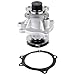SCITOO WP3138 Water Pump fits for Chevrolet Buick Colorado 2.8 2.9 3.5 3.7 4.2 L DOHC