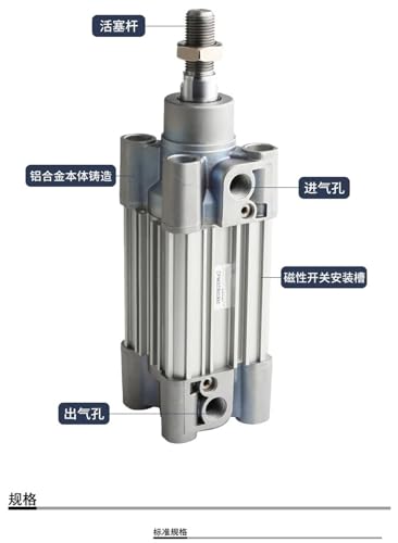 Vérin pneumatique à double effet CP96SDB40-215 à course fluide