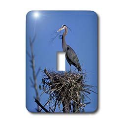 Interrupteur mural décoratif Blue Heron Bird en version multicolore texturée art