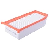 Castrol Filters CA0013 Air Filter