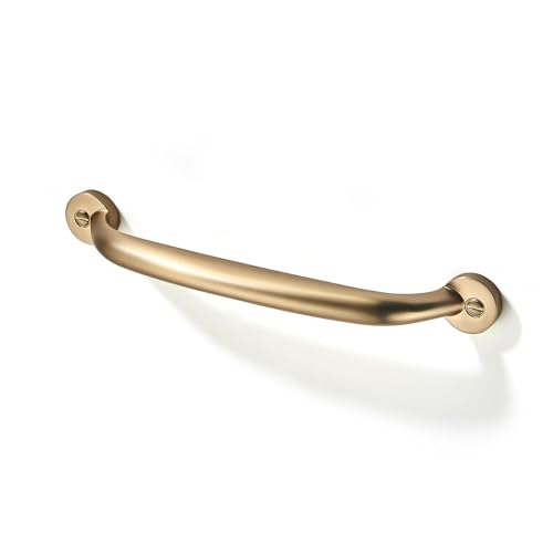 TUNNY 10 Pack Kitchen Cabinet Handles-4"/102mm Screw Spacing Champagne Bronze Furniture Hardware Handles Drawer pulls for Kitchen Cabinets Bedroom Cabinet Pulls