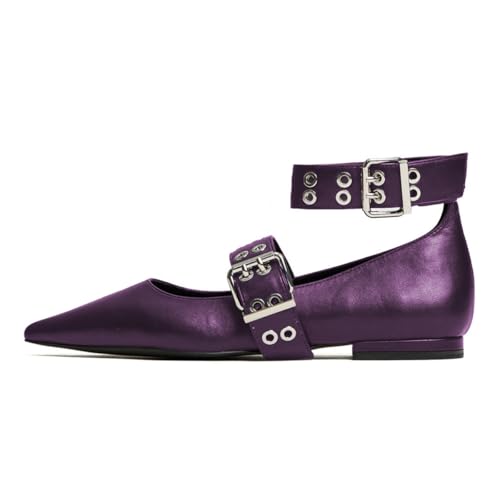 Milooey shoes Women's Pointed Toe Low Heel Pumps Mary Jane Buckle Ankle Strap Flats Shoes Daily Casual Dressy Size 4-16 US2