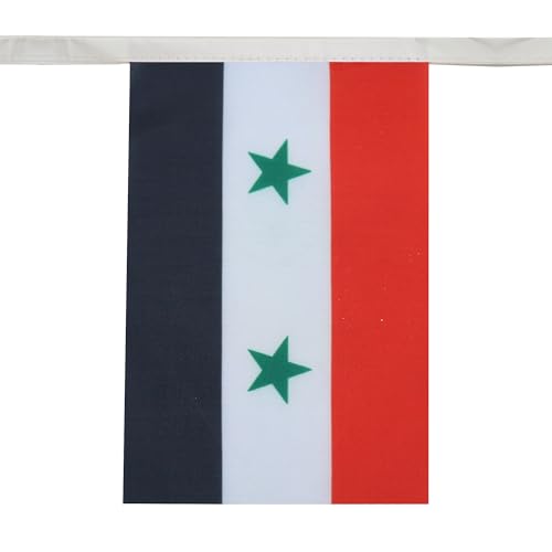 Image of AZ FLAG Syria 6 meters BUNTING Flag 20 flags 9'' x 6'' - Syrian STRING flags 15 x 21 cm