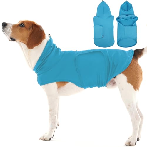 ^Zp[VsVcA^pAyʉԉΒÃxXgbvAr[Osɘap[eB[̂jATEh(u[)