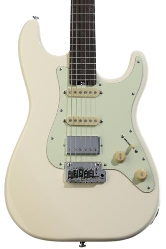 ギター SCHECTER Nick Johnston Traditional HSS 31DGX-0mPWL.jpg