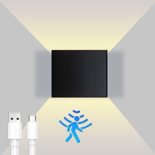 GoKlug LED Wandleuchte (Black_Alu)