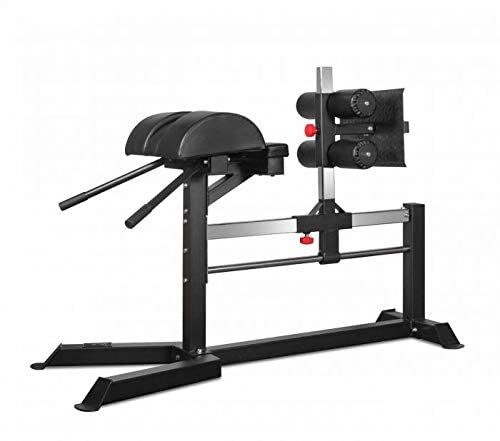 Buy GHD Gym Machine Glute Ham Developer, Hamstring, Back, and Abs ...