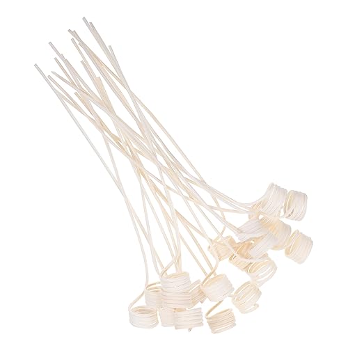BIUDECO Fragrance Sticks for Essential Oil Diffusers 20pcs Diffuser Sticks Car Aromatherapy for Accessory