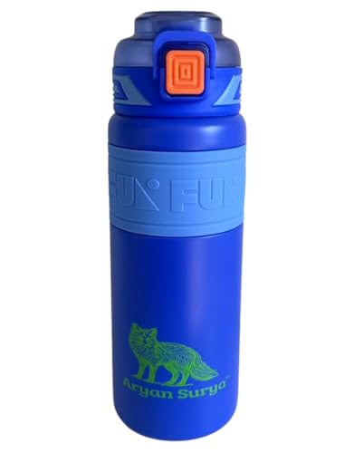 Insulated Stainless Steel Water Bottle with push-button lid with lock and Straw for Sports and Travel, BPA-Free Sports Water Bottle, 22 oz (Blue, 22 oz)