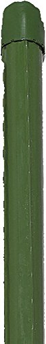 Preisvergleich Produktbild Pflanzenstab Grün 16X1500mm, 2 Stück