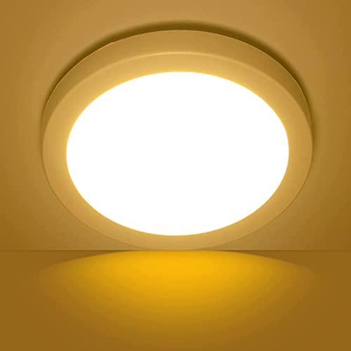 Taoellen 6W LED Ceiling Light, Mini Size Flush Mount Ceiling Light