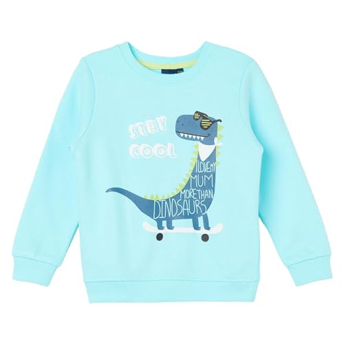 Juniors by Lifestyle Boys Light Blue Cotton Regular Fit Solid Sweatshirt_12-18M Juniors by Lifestyle Boys Light Blue Cotton Regular Fit Solid Sweatshirt_12-18M