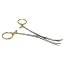 Gold Handle - Crv