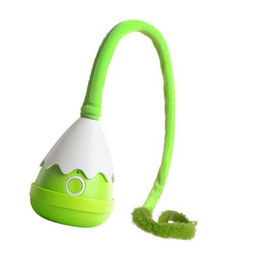 Jiswhisker C^NeBuȔL̂Aۉ^AGb`gAybgpiAp