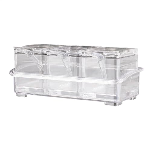 Yhsioaklo Caja de almacenamiento de especias, caja de especias para cocina, caja de especias para sal, recipiente transparente para especias, botes para el hogar, cocina, camping, picnic, barbacoa