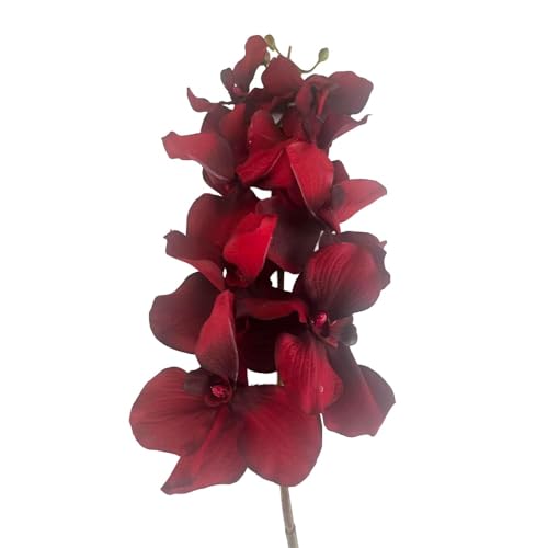 2474U Kunst-Stielblume Orchidee bordaux-rot ca. 100cm naturgetreue Blüte Seidenblume