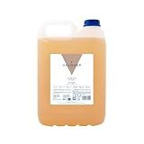 VALQUER Revitalisierendes Shampoo pH-neutral | Stärkt, Spendet Feuchtigkeit...