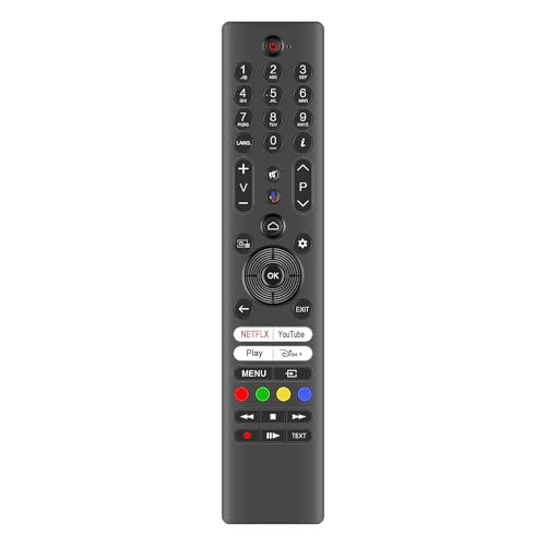 Télécommande RC45193 30115449 vocale : contrôlez votre TV Panasonic au salon