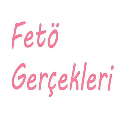 Fet&ouml; Ger&ccedil;ekleri cover art