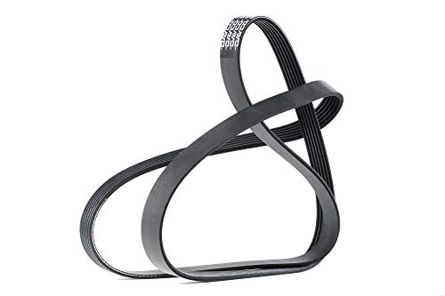 DAYCO 6PK1733 riemen