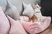 BedDog Hundebett Zara, Hundekissen mit abziehbaren waschbaren Bezug, Hundekorb, Hundesofa, für kleine Hunde, S