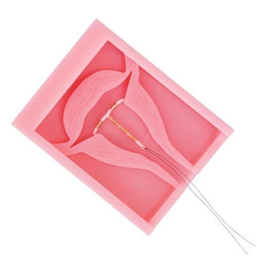 Image of SimCoach IUD Training Model, Female Intrauterine Contraceptive Device Simulator Trainer, Style B