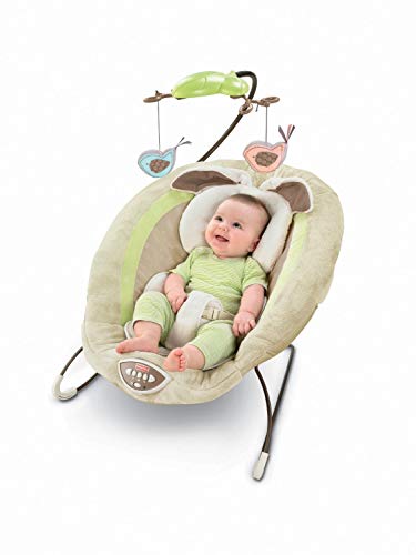 Image of Fisher-Price Snugabunny Deluxe Bouncer