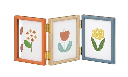 ���h���i AVANTI ���ʃf�B�X�v���C�t���[�� �ؖ�&�J���[�t���[�� L�T�C�Y×6 SF20-60-B