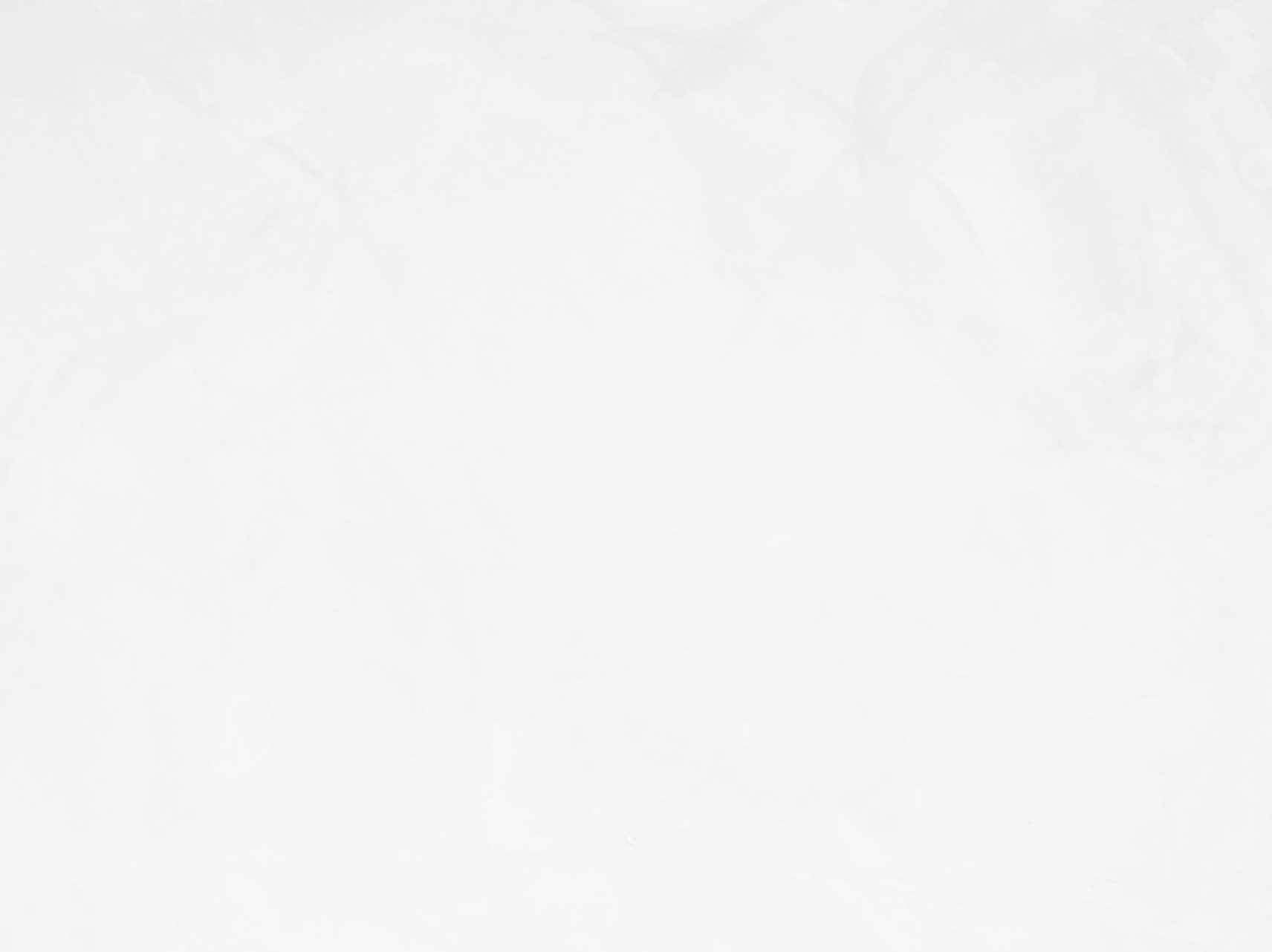 VASARI Lime Plaster & Paint | LIME PAINT | Made from Natural Lime and Powdered Marble | color: Pearl White #18 | size: 5 Gallon