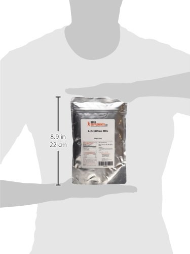 Bulksupplements.com L-Ornithine Hcl Powder - Amino Acid Supplement For Protein Synthesis - Gluten Free - 1G (1000Mg) Per Serving, 250 Servings (250 Grams - 8.8 Oz) #TOP7