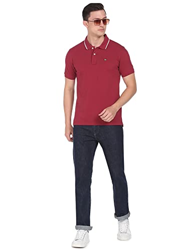 Arrow Men Burgundy Striped Collar Pique Polo Shirt